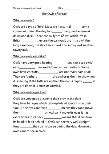 Owls conjunctions and identification sheet | Teaching Resources