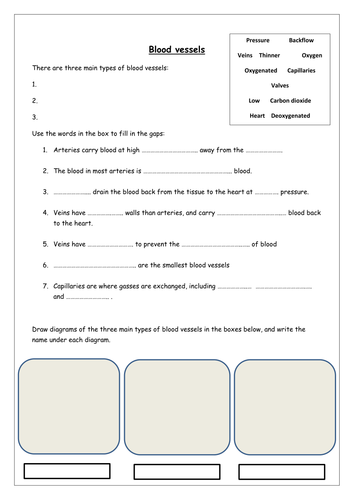 Blood vessels worksheets | Teaching Resources