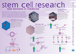 Stem Cell Lesson | Teaching Resources