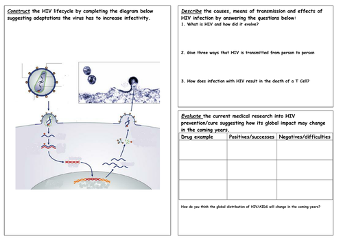 HIV observation standard lesson | Teaching Resources