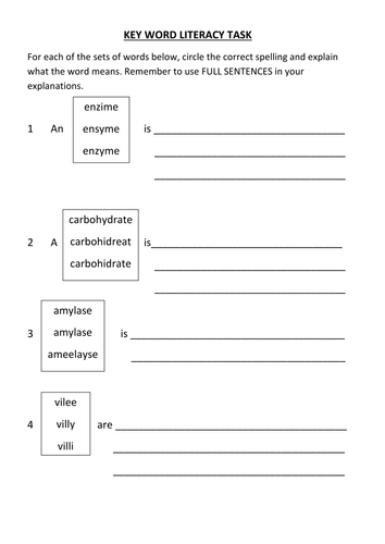 docx, 20.05 KB