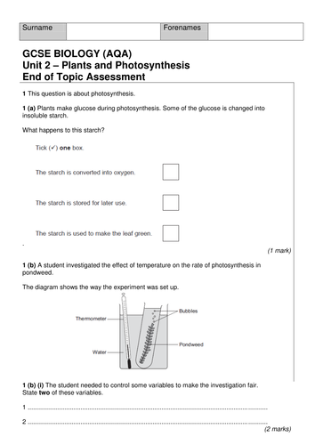 NEW AQA B2.3 Plants and photosynthesis revision | Teaching Resources